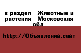  в раздел : Животные и растения . Московская обл.